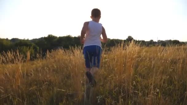 晴れた日に緑の草原フィールドで実行している若い男の子に続きます。太陽フレアと屋外の芝生でジョギングの子。男性子供の夏の牧草地で自然に行きます。戻ってスローモーションの背面から見た図します。 - 映像、動画