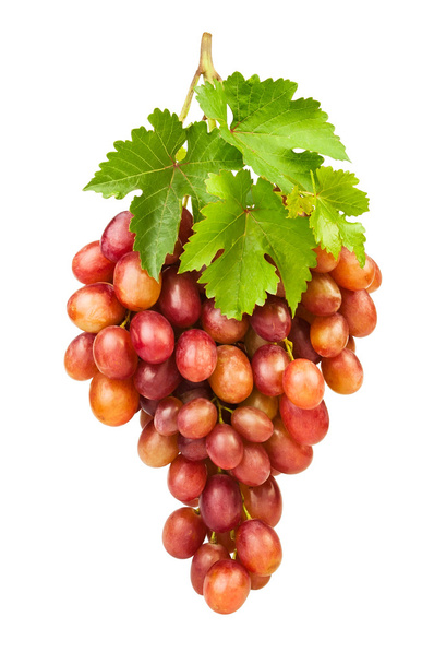 Красный виноград
 - Фото, изображение