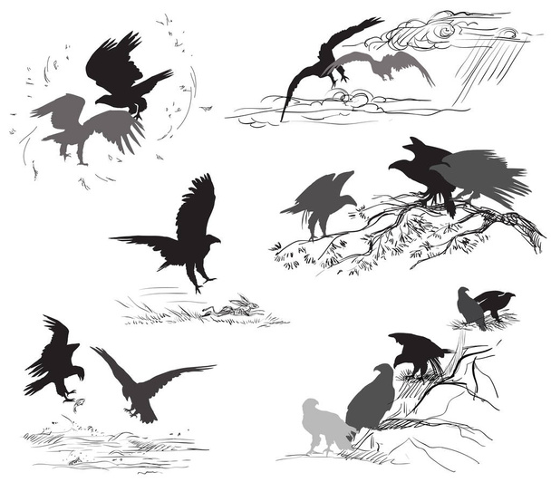 Verzameling van vector scènes van het leven van de adelaar - Vector, afbeelding