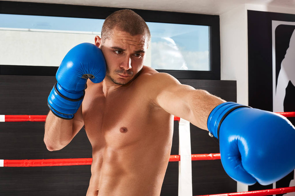 Boxeador en guantes azules
 - Foto, imagen