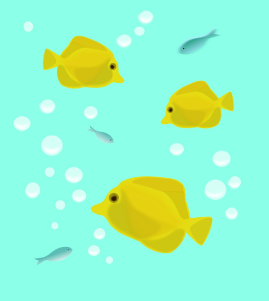 золотих рибок
 - Фото, зображення