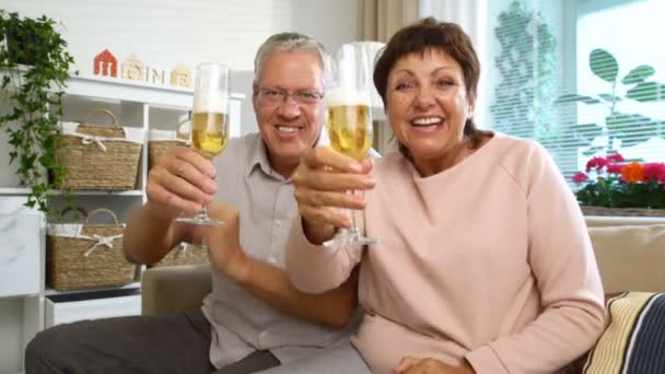 Elderly Couple Connected with Friends using Laptop Video Call Camera and Drinking Champagne - Materiał filmowy, wideo