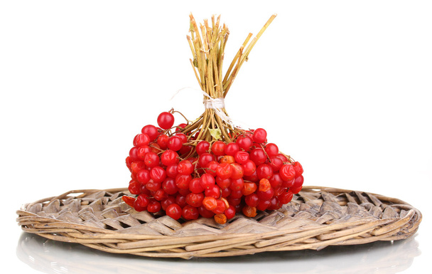 red berries of viburnum on wicker mat isolated on white - 写真・画像