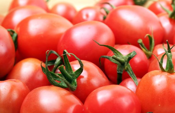 Cherry tomato - Foto, imagen