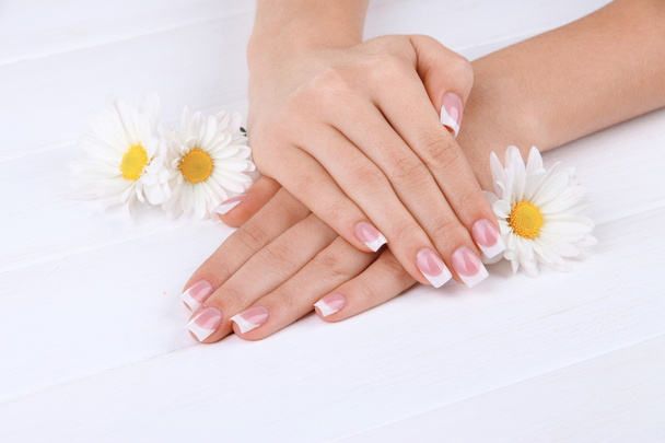 Woman hands with french manicure and flowers on white wooden background - Fotoğraf, Görsel