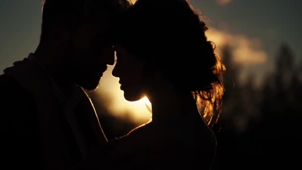 Young lovely couple hugging silhouette - Filmagem, Vídeo