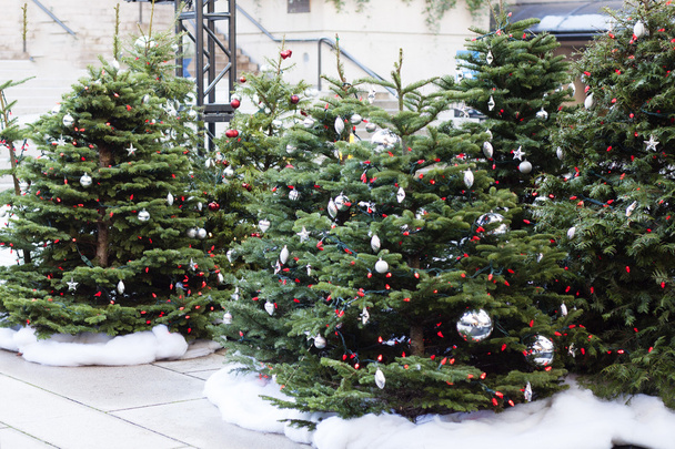 Stand von Weihnachtsbäumen an der Eisbahn - Foto, Bild