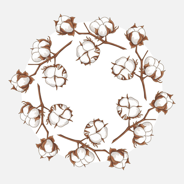 branch of a cotton - Vector, imagen