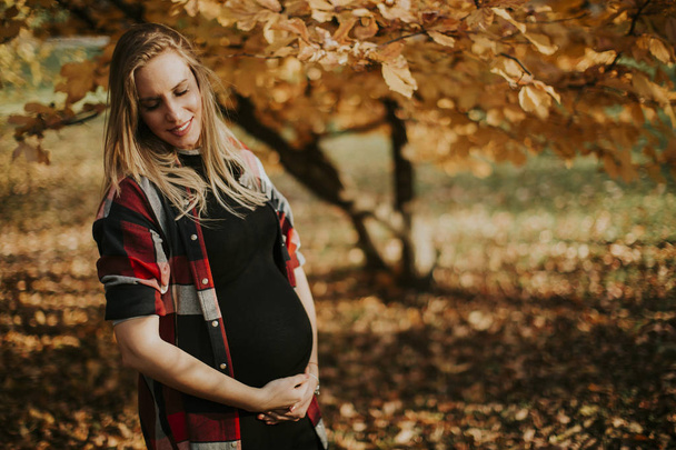 Nuori raskaana oleva nainen syksyllä puistossa
 - Valokuva, kuva