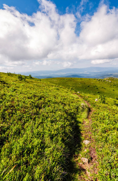 path through the mountain ridge in summer - Foto, Imagen