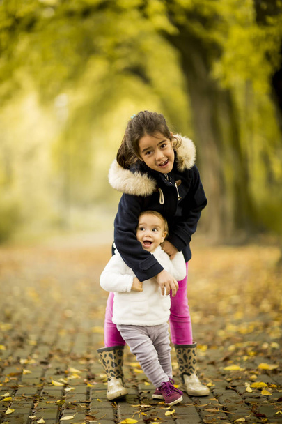 Sestřičky v podzimní park - Fotografie, Obrázek
