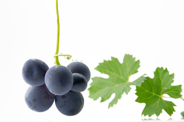 Blue grapes with green leaves  - Photo, Image