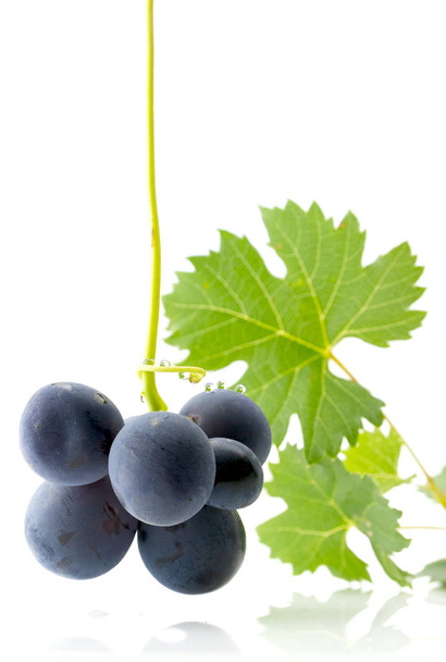 blauwe druiven met groene bladeren  - Foto, afbeelding