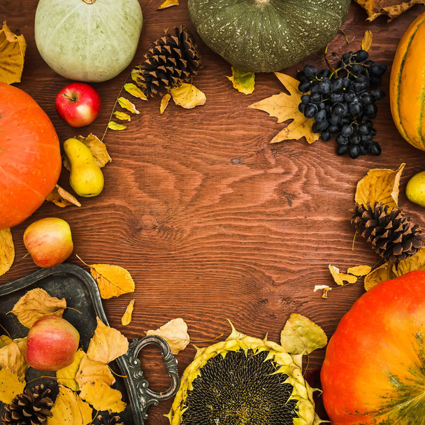 Осенний фон Дня благодарения. Плоский лежал
 - Фото, изображение