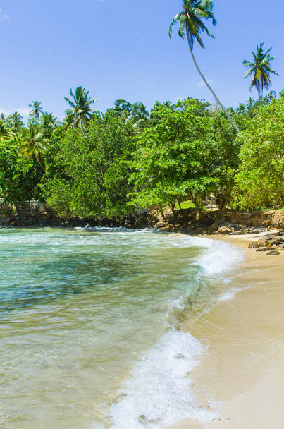 Tropikalna plaża Mirissa w Sri - Zdjęcie, obraz