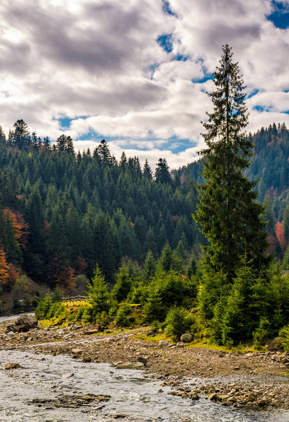 forest river in autumnal countryside - Fotoğraf, Görsel