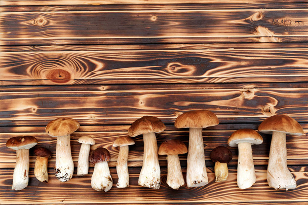 Fresh boletus mushrooms on wooden table.  - Photo, Image