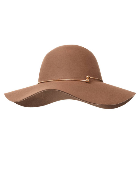 Beautiful luxury female felt brown hat with gold decoration on a white background - Photo, Image
