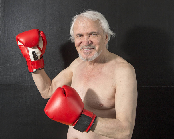 Senior boxer portrait on a dark background - Foto, Bild