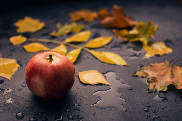 Manzana y hoja amarilla en el suelo
 - Foto, imagen