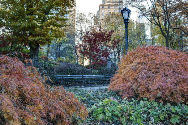 Central park, new york city herfst scène - Foto, afbeelding