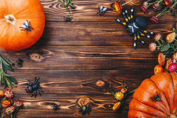Concepto de Halloween con calabazas frescas, arañas e insectos de cerca sobre la mesa. Truco o tratar la vista desde arriba
 - Foto, Imagen