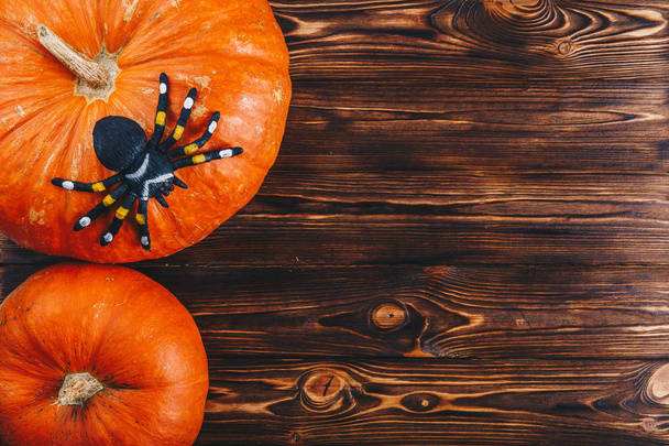 Halloween concept with fresh pumpkins and a spider on it on the wooden table. Trick or Treat view from above - Foto, Bild