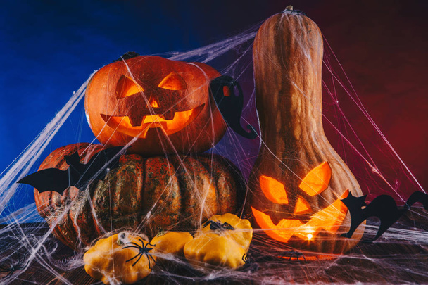 Calabaza de Halloween en una tela de araña con dulces e iluminación oscura. Concepto de truco o trato sobre fondo azul y rojo
 - Foto, Imagen