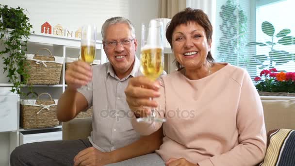 Elderly Couple Connected with Friends using Laptop Video Call Camera and Drinking Champagne - Materiaali, video