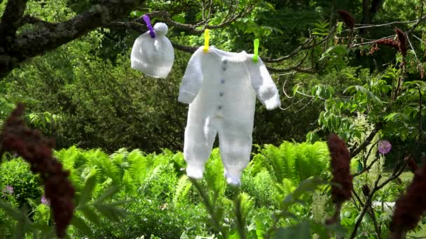 Knitted white baby bodysuit and hat hang on tree branch in garden. - Footage, Video
