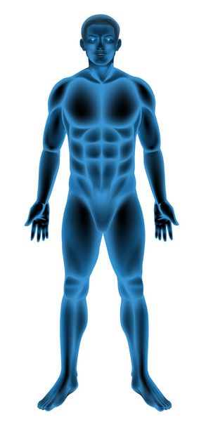 férfi test - Vektor, kép