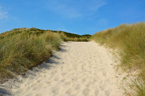 landschap met zandduinen - Foto, afbeelding