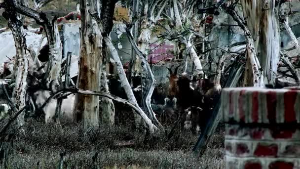 Город-призрак Эпекуэн, Аргентина
 - Кадры, видео