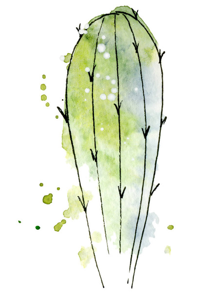 Watercolor cactus Abstract hand drawn cacti - Фото, изображение