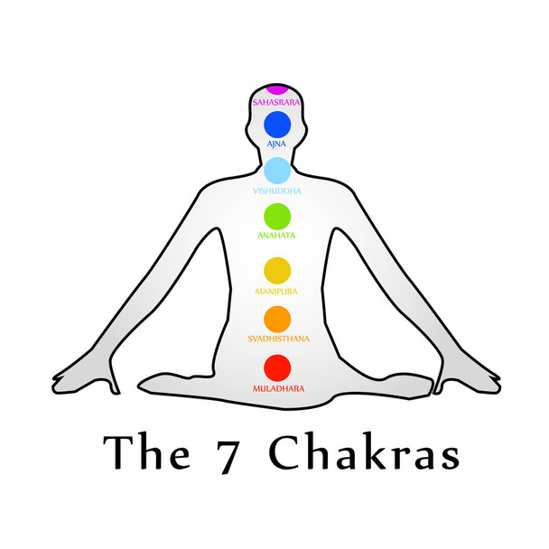 Os sete chakras com seus nomes
  - Vetor, Imagem