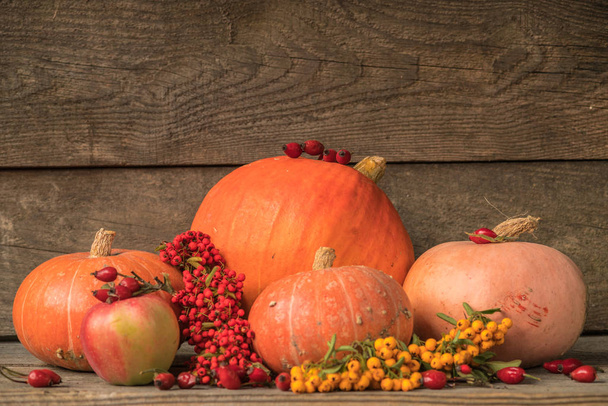 カボチャと秋の静物画 - 写真・画像