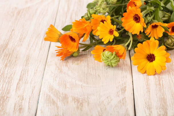 Calendula officinalis. Marigold flower with leaf on white wooden background with copy space for your text - Zdjęcie, obraz