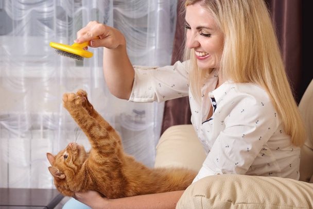 Woman combing her redhead cat - Foto, afbeelding
