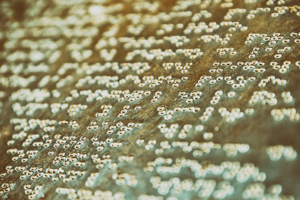 Braillovo písmo psaní textu na kámen - Fotografie, Obrázek