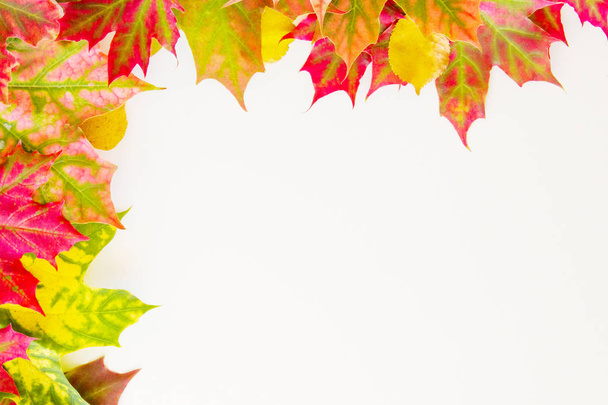 Colourful autumn fall leaves frame on white background. - Photo, Image