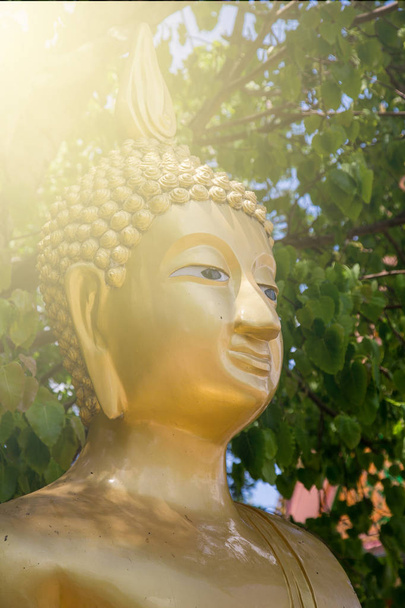 Face of Buddha - Photo, Image