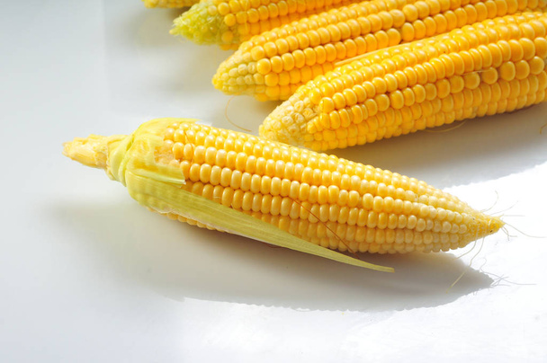 Mature corn on a white background - Photo, Image