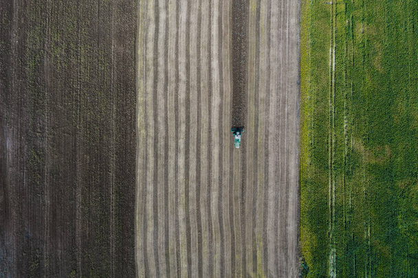 Harvester harvests a crop in a field next to a green field with corn. Ukraine. Aerial view. - Foto, Imagen