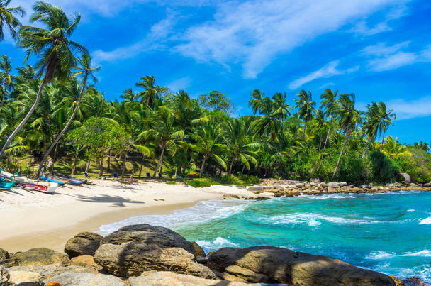 Praia tropical no Sri Lanka
 - Foto, Imagem