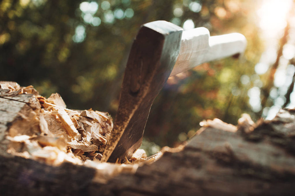 Close up axe stuck in the tree trunk, wood chips scattered around. Blurred Background, sunlight effect - Foto, Imagen