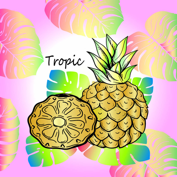 Sweet tropical fruit pineapple and exotic leaves - Vetor, Imagem