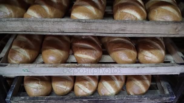 Productie van bakkerijproducten in een bakkerij. De bakker kneedt het deeg voor het bakken van broodjes. - Video