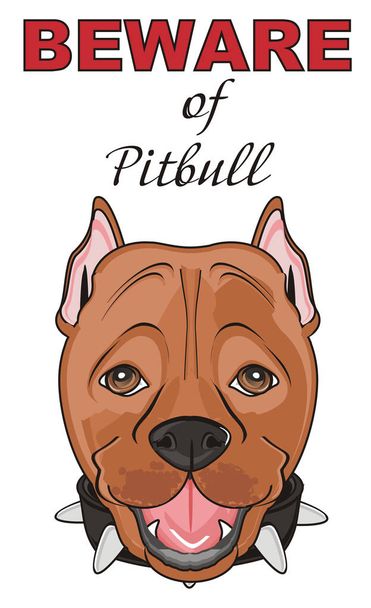leuke bruine pitbull - Foto, afbeelding