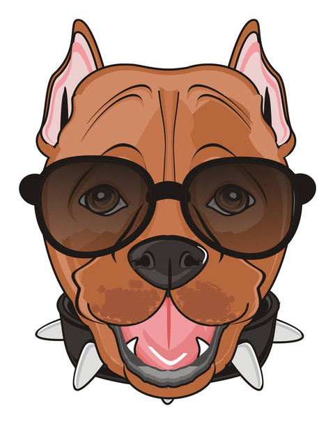 cute brown pitbull - Фото, изображение