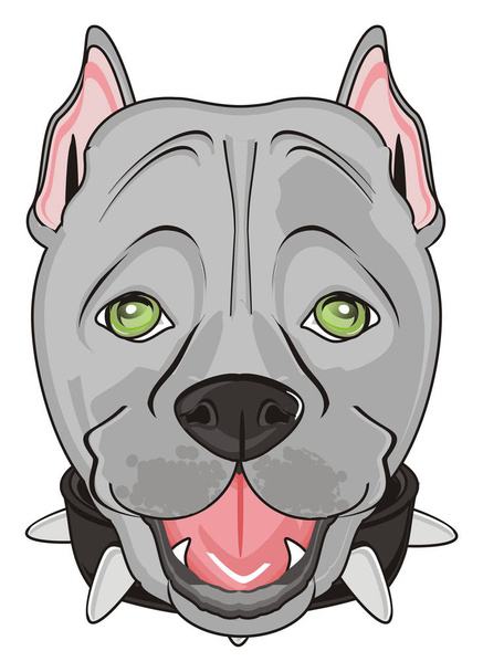 cute gray pitbull - Фото, изображение